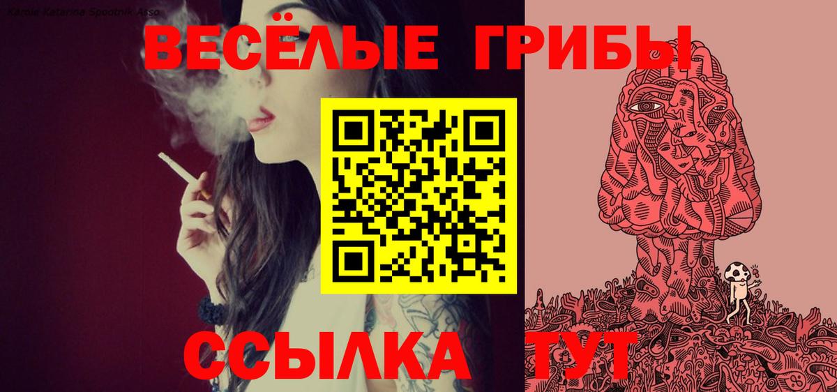 Вичуга  Галлюциногенные грибы MAGIC MUSHROOMS  Вход с VPN  Галлюциногенные грибы ЛСД 