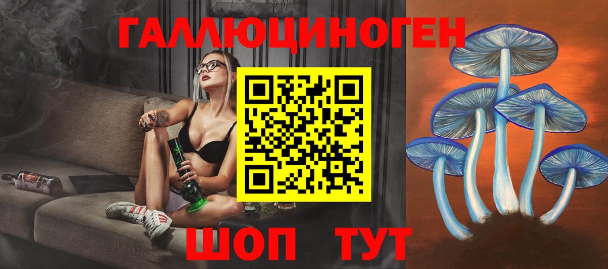 Галлюциногенные грибы Psilocybe Вичуга